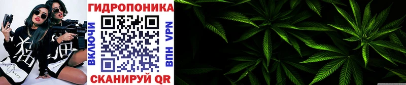 Купить Сосновка hydra   МЕФ  APVP  Гашиш  Конопля  АМФ 