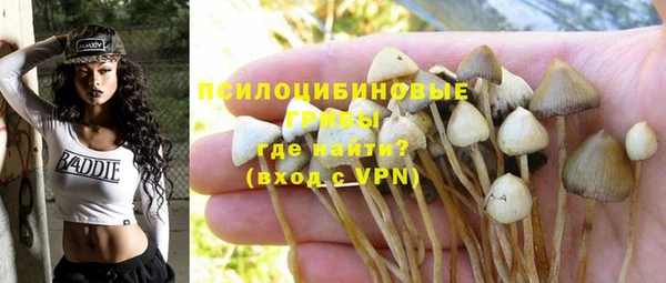 хмурый Армянск