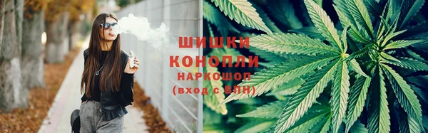 spice Арсеньев